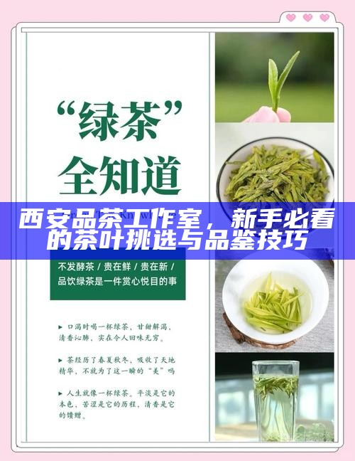 西安品茶工作室,新手必看的茶叶挑选与品鉴技巧