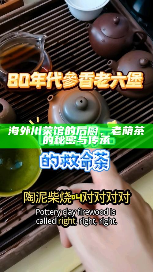 海外川菜馆的后厨,老荫茶的秘密与传承