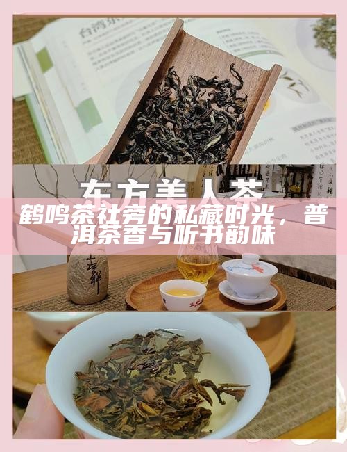 鹤鸣茶社旁的私藏时光，普洱茶香与听书韵味